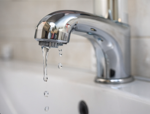 screenshot 2026 02 01 at 12 05 54 image generation request